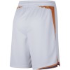 Homme Phoenix Suns Shorts 2023-24 Nike Association Edition Swingman
